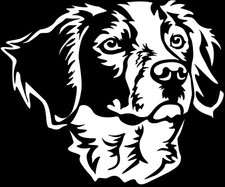 Adesivo EPAGNEUL BRETON -