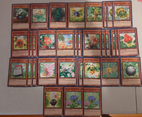 Mazzo yugioh naturia nucleo - mazzo,