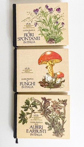 Volumi guida pratica - 3, ai