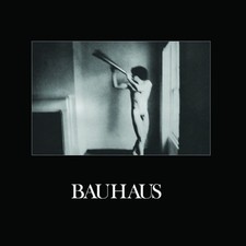 Bauhaus the flat field - bauhaus,