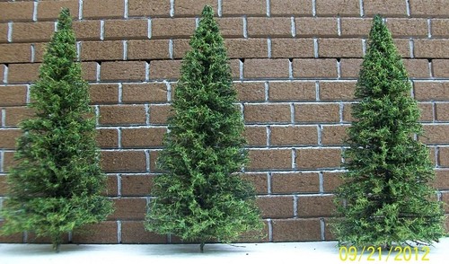 Alberi pino miniatura - alberi,