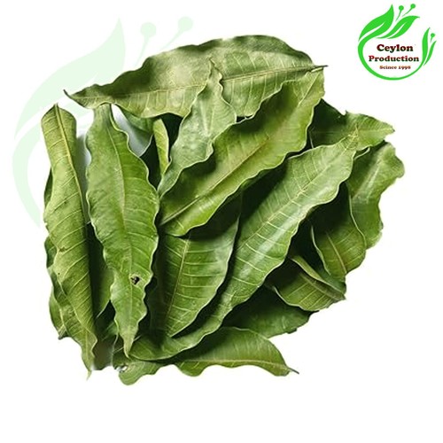 Mangifera indica ataulfo - indica,