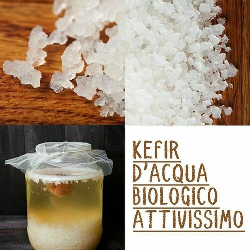 Kefir grammi granuli - 60,