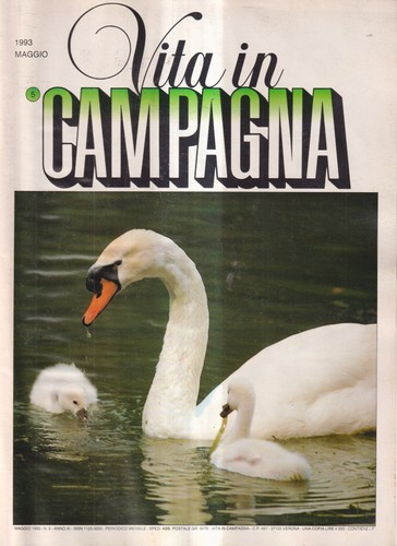 Vita campagna maggio - 5,