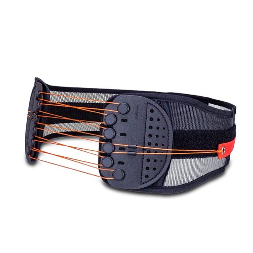 Cintura fitness guardner - cintura,