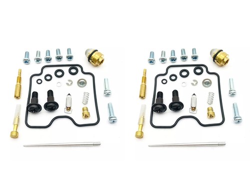 Kit riparazione carburatore - 2x,