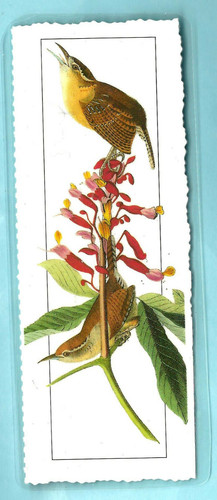 Segnalibro caroline wren - segnalibro,