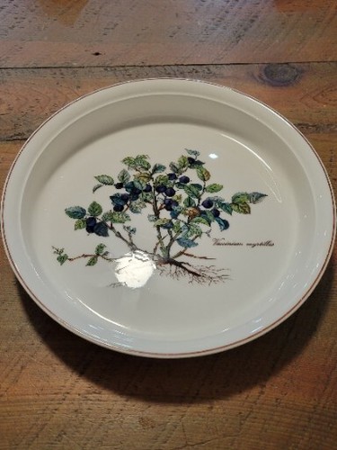 Villeroy and boch botanica - villeroy,