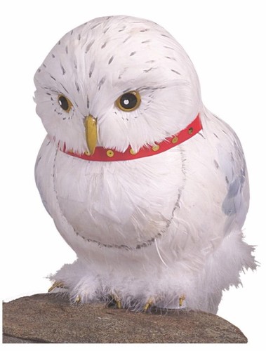 Costume prop harry potter - harry,