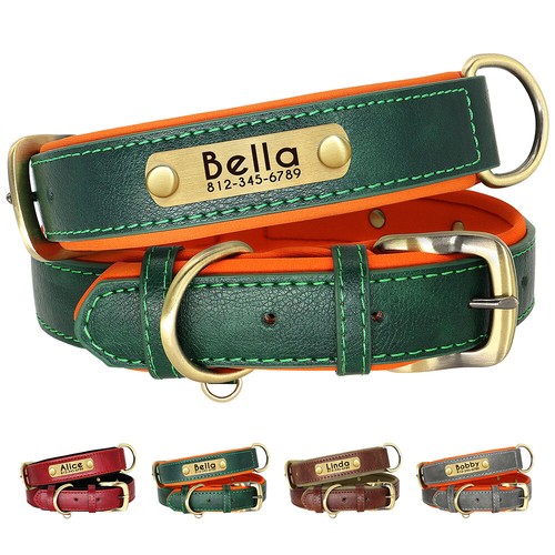 Collare pelle per - in,