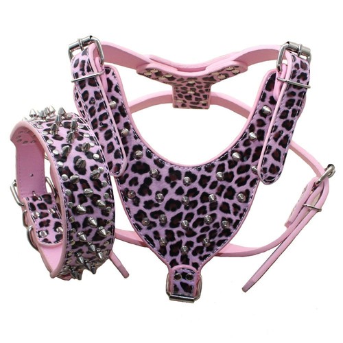 Set collare imbracatura per - set,