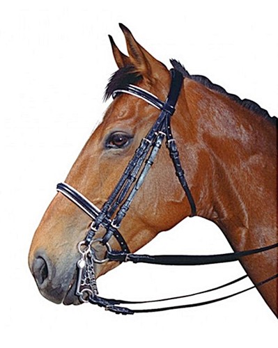 Briglia dressage per - da, morso