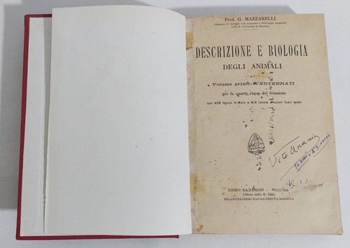 44397 mazzarelli descrizione - mazzarelli,