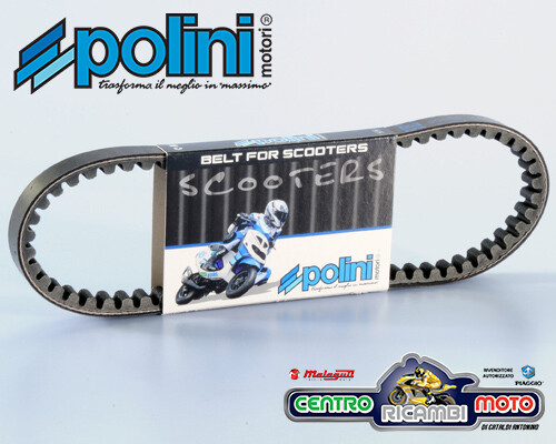 Cinghia trasmissione variatore - trasmissione,