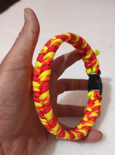 Collare cane paracord - collare, in