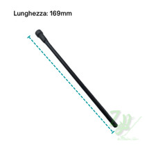 ASTA PUNTERIA MOTORE RUGGERINI