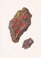 Stampa cinabar 1968 - cinabar,