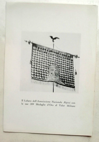 Labaro dell associazione - il,