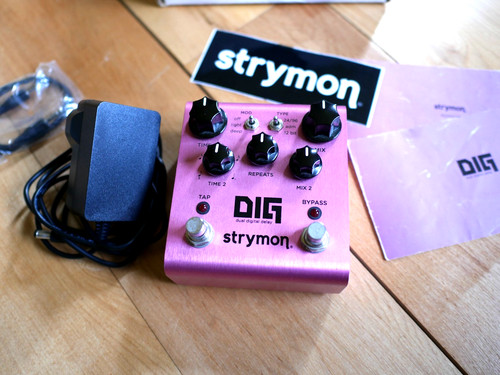 Strymon dig dual - dig, digital