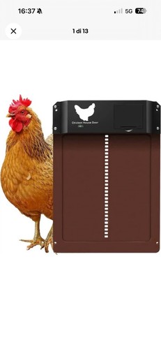Porta pollaio automatica - pollaio,