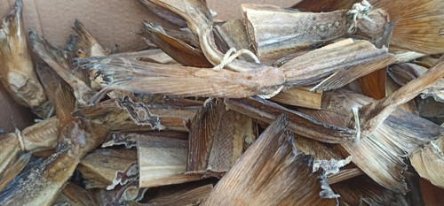 Code stoccafisso secco - stoccafisso, 5