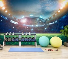 3D Stadium NA5070 Carta da Parati Murale Rimovibile Autoadesiva Adesivo Fay