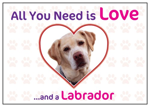 Funny love and - love,