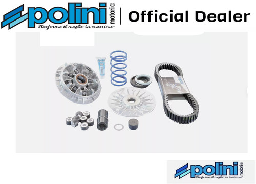 Polini 241 701 kit variatore - 241.701.1,