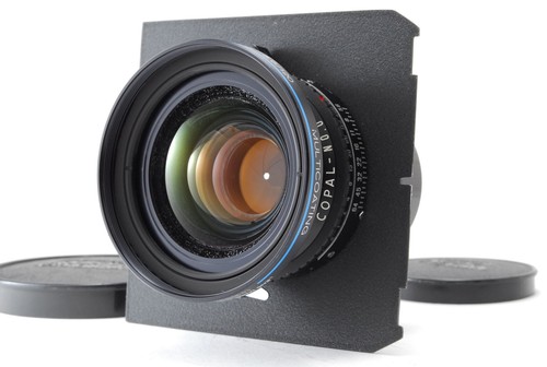 Cla mint schneider - [mint],