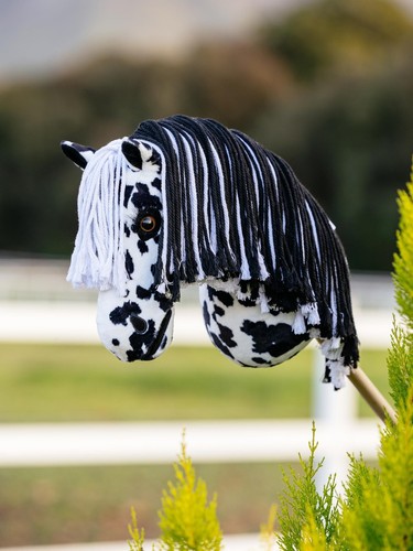 Lemieux hobby horse - horse, dakota