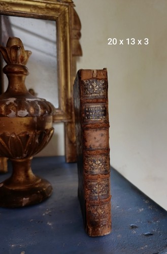 Antico raro libro francese
