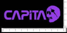 Adesivo Capita Skull Snowboard