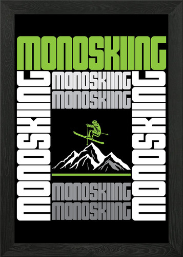 Quadro monoski divertente mono - quadro,