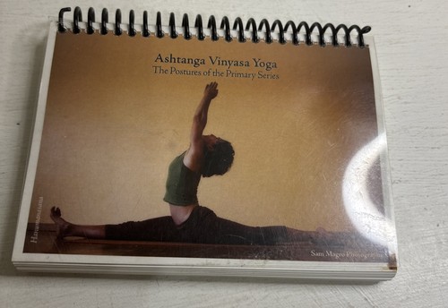 Ashtanga vinyasa yoga the - ashtanga,
