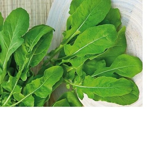 Semi sementi rucola - sementi, da