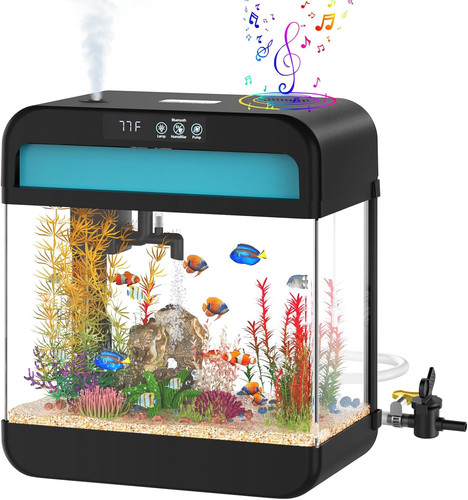 Fish tank galloni acquario - tank,