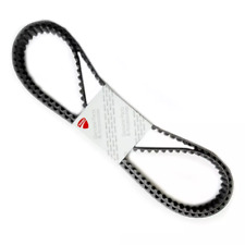 Set Cinture Temporizzazione