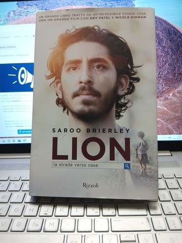 Lion strada verso casa - strada,