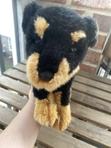 Douglas rocky the rottweiler - rocky,