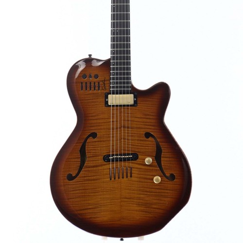 Godin multiac jazz light - godin,