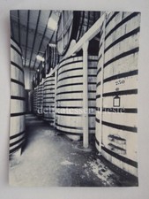 STOCK TRIESTE liquore cognac brandy vecchia foto 1