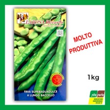 SEMI DI FAVA SUPERAGUADULCE A LUNGO BACCELLO LA ROSA 1KG ORIGINALE MAROCCO