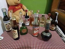 13 Bottiglie Liquori da