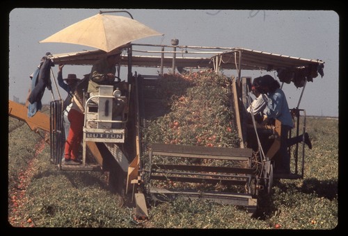 Sl26 slide 1980 omaha raccolta - sl26,