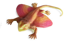 21cm Lizard PVC Toy Wild