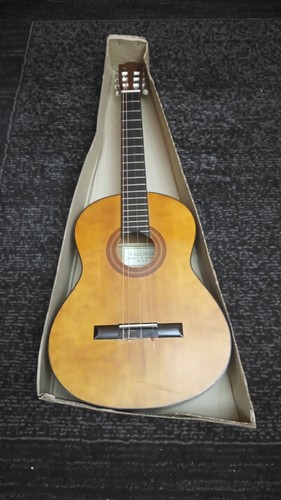 Chitarra classica valencia - classica,