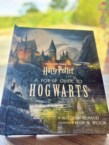 Harry potter pop - potter, pop-up