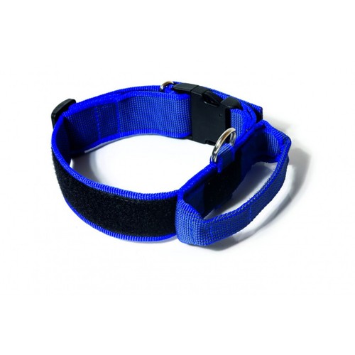 Julius collare cane blu con - cane,