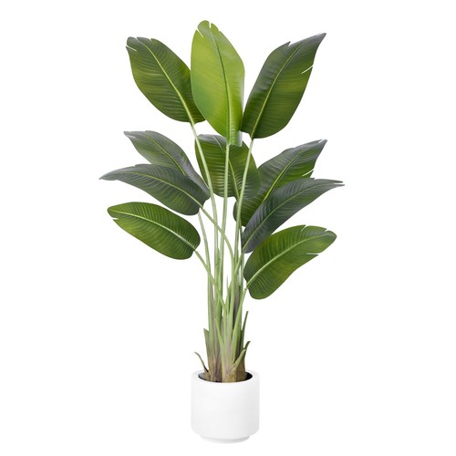 Zeeoze pianta artificiale - pianta,