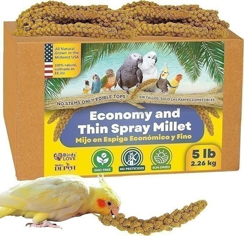 Birds love economy thin - birds, &